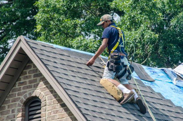 Best New Roof Installation  in Blackwater, AZ